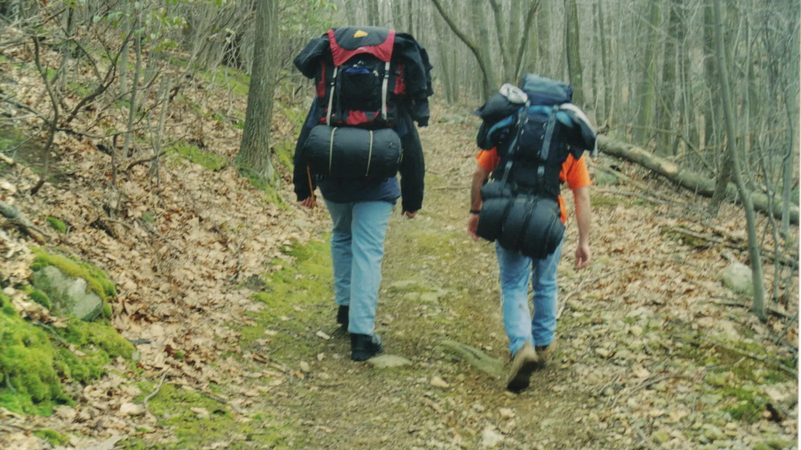 Two walkers with large rucksacks head away up a stony woodland path between bare trees.