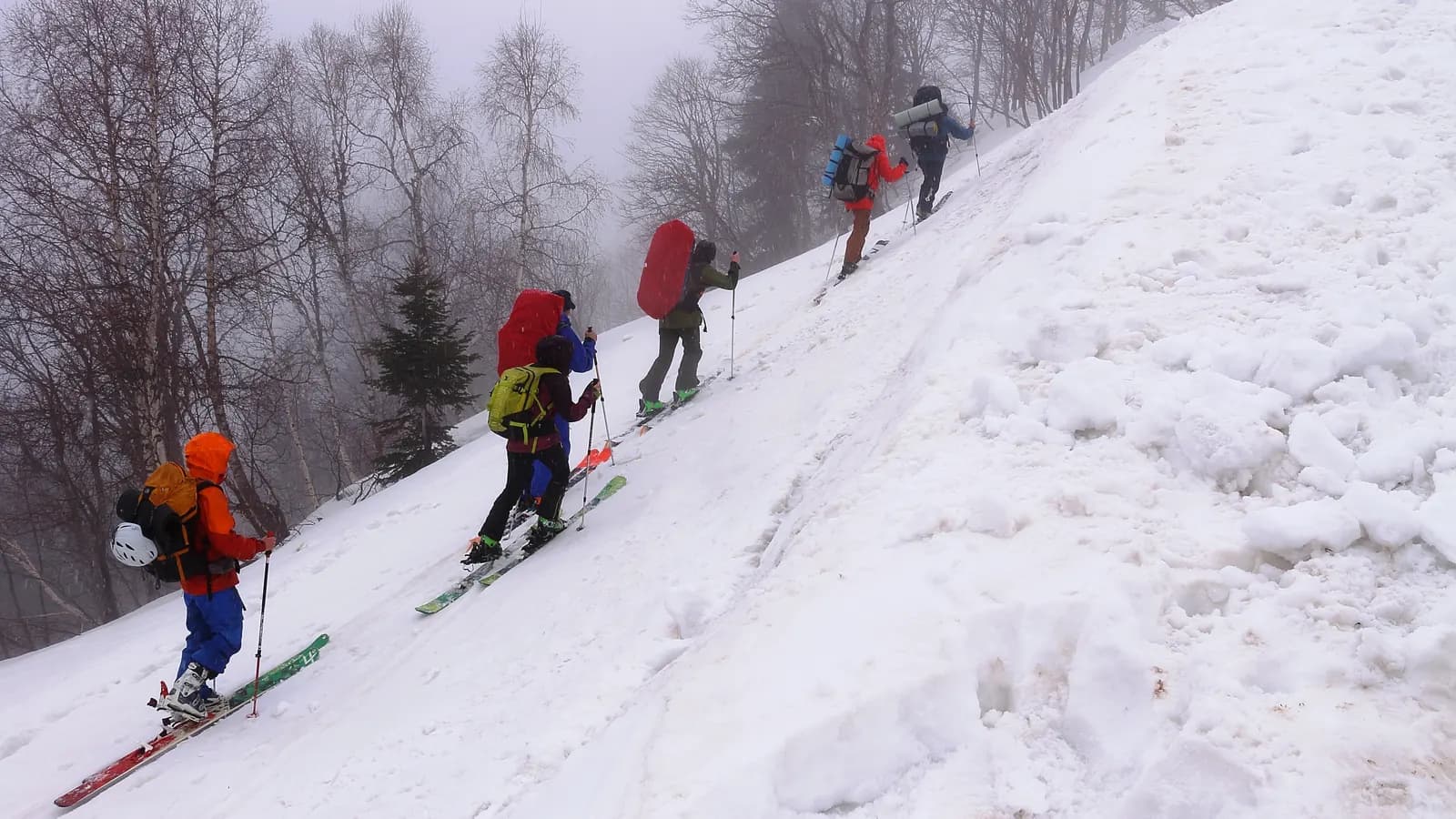 Four ski tourers climbing a snow slope in single file with large packs and poles, their skis fitted with skins so they can walk uphill rather than being carried, in flat light with bare trees behind.